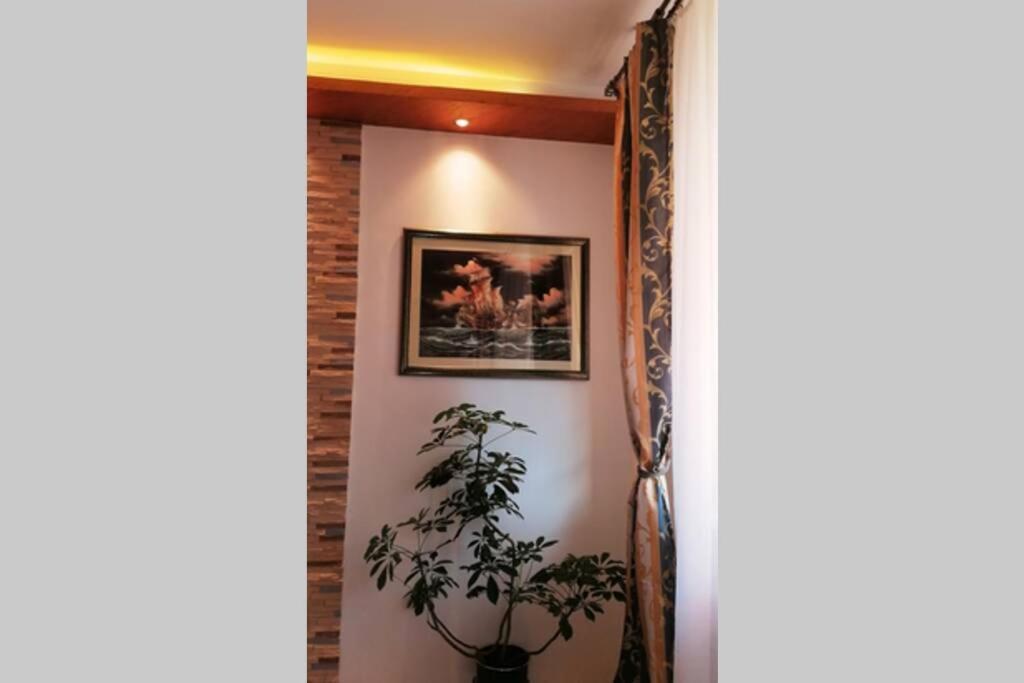 Oasis Felix Apartment Belgrad Exterior foto